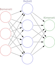 neurális hálózat